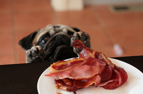 beautylish:

BACON, I want! You can smell like bacon without having to eat it! I’d like to eat the bacon too though haha.
