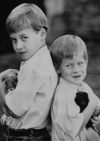young prince harry and william. Young Prince William and