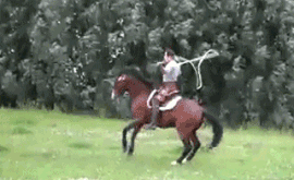 Um cavalo pulando corda. O que significa? Será que estamos