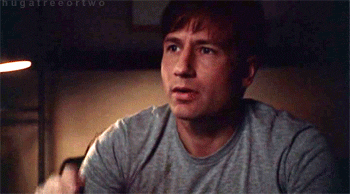 david duchovny deal with it gif