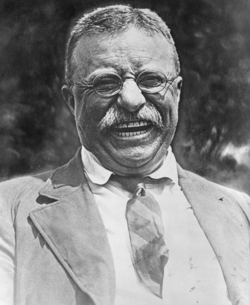 president roosevelt wheelchair. Theodore Roosevelt.