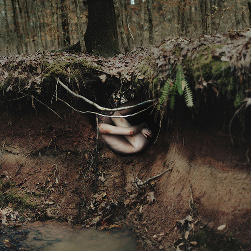 ruineshumaines:  The nature of the womb. (by alexstoddard) 
