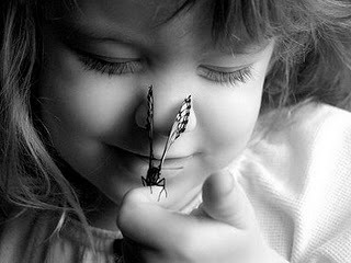 
Não haverá borboletas se a vida não passar por longas e silenciosas metamorfoses.
(Rubem Alves)
