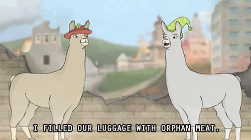 llamas with hats. Tagged with llamas with hats,