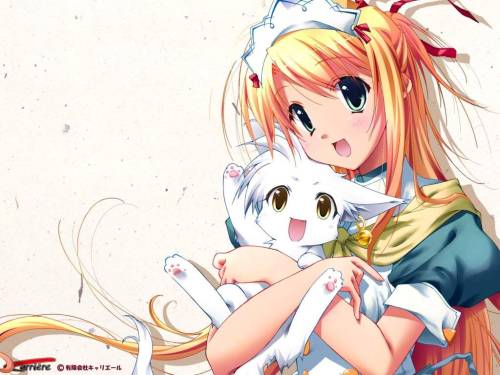 cute anime maid girl. Tags: Cute Anime Cat Maid Desu