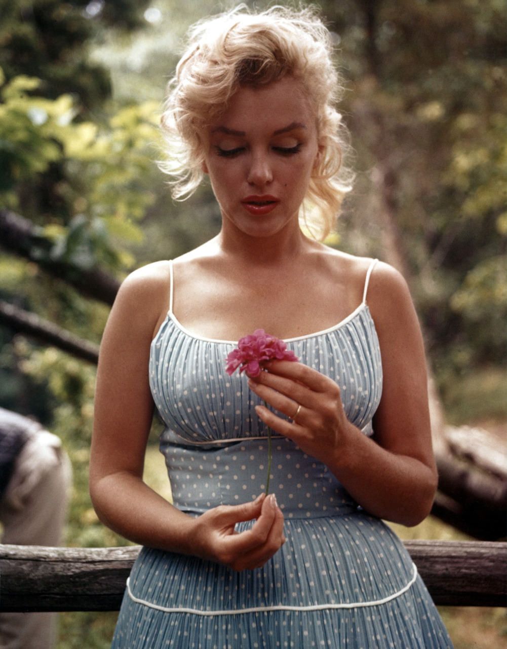 Marilyn Monroe was born on this day in 1926.  She would have been 85 years old today.  