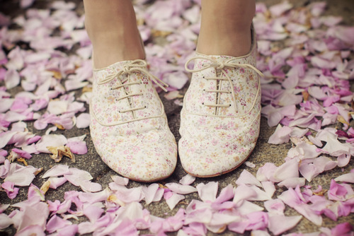 Gently stepping over the Magnolia petals.