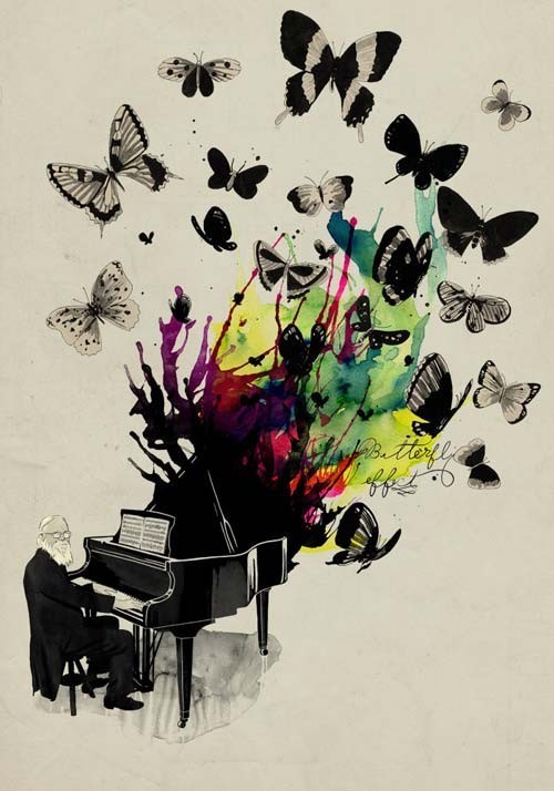 musiclovesme:  the butterfly effect… 