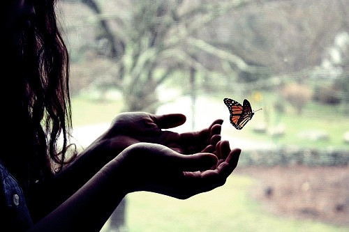 A felicidade é como uma borboleta. Quanto mais você corre atrás dela, mais ela foge. E um dia você se distrai, ela pousa em seu ombro.
