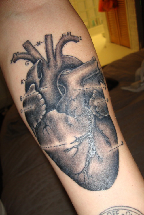 My Medical Diagram of a Human Heart Done by Ben Original Sin Tattoo