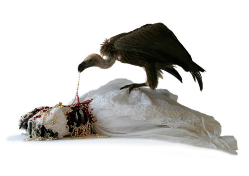  Corpse Bride Vulture with Victim by Idiots 2006 Source Idiots
