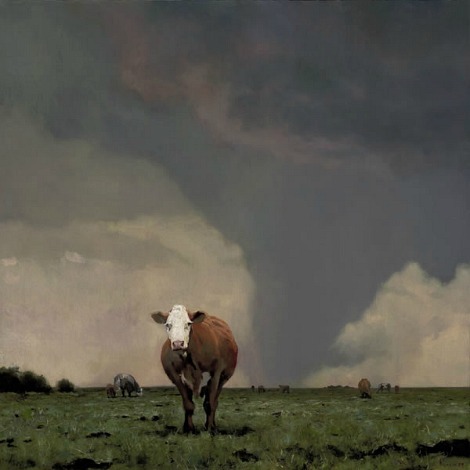 cow in tornado