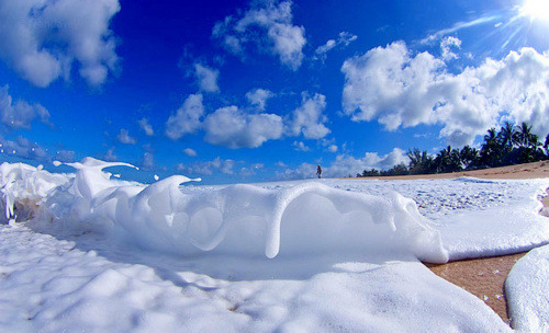 sunsurfer:

Blue Sky, Maui, Hawaii
photo by clarklitttle