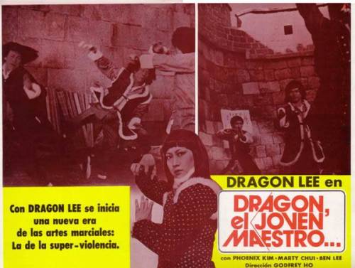 Mission For The Dragon Spanish Film Poster