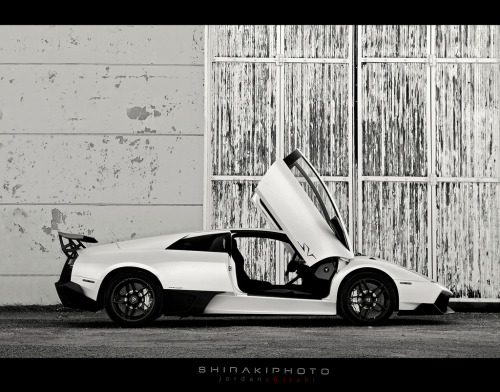 Lamborghini Murci lago LP6704 SuperVeloce Bianco Canopus 