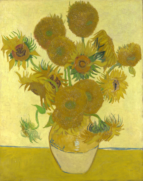 Ressam&#160;: Vincent Van Gogh (1854-1890)
Resim&#160;: Sunflowers - 12 Sunflowers in a Vase (1888)
Nerede&#160;: National Gallery, Londra, İngiltere
Boyutu: 92,1&#160;cm x 73&#160;cm
Van Gogh&#8217;un ayçiçeklerine olan tutkusu, 1887&#8217;de Paris&#8217;te başlamıştı, bu kompozisyonda değil ama yerde yatar şekilde 4 tane ayçiçeği daha yapmıştı. Bugün bu Paris versiyonları sergilendikleri müzelerin önemli resimleri arasında. Gauguin, bu ayçiçekleri denemelerini çok beğenmişti, hatta iki tanesi onun olmuştu. Van Gogh, Gauguin&#8217;i Arles&#8217;e davet ettiğinde bu ayçiçeklerinin alasını yapmak istedi. 12&#8217;si birden bir vazoda! Gauguin&#8217;in kalacağı odayı dekora edecekti. İlkini 1888&#8217;de, ikincisini 1889&#8217;da yaptı. Bu National Gallery&#8217;deki ilk versiyon, ikinci versiyon ise Amsterdam&#8217;daki Van Gogh müzesinde. Birbirinden ayırmak için en kolay yol, &#8220;Vincent&#8221; şeklindeki imzasını yoklamak. Vincent, vazonun koyu sarı kısmındaysa ilk versiyon, açık sarı kısımdaysa ikinci versiyon. Van Gogh&#8217;u ilk 13 Mart&#8217;ta anlatmıştım, kısaca hayatını ve Gauguin ile yaşadıklarını hatırlamak isterseniz burada. Van Gogh&#8217;un Almond Blossom resmini ise 26 Haziran&#8217;da anlatmıştım. 15 Haziran&#8217;da ise Gauguin&#8217;in Van Gogh&#8217;u bu ayçiçeklerini resmetme anını hicvettiği resmi anlatmıştım, o da burada.  