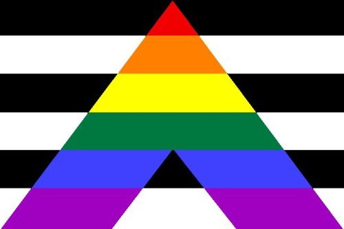 Raise (Your) Flag Part 6
Straight Ally Pride Flag