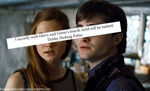 Harry Potter Confessions
