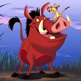 Timon and Pumba - Lion King.
