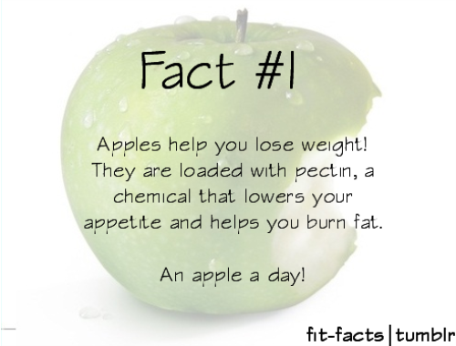 fit-facts:

(For more info on how apples can help you lose weight, click the photo!)
