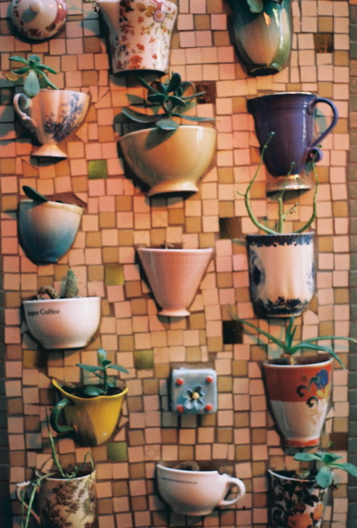 Mosaic wall with embedded teacups for a succulent garden….LOVE.