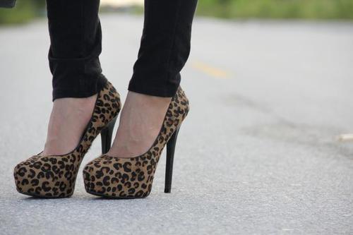 theloveshoes:

Animal print (:
