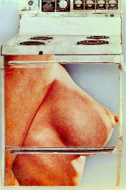  : hot meat collage by martha rosler body