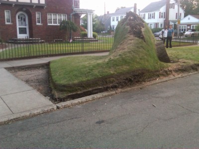 Aftermath of Hurricane Irene - what was once a beautifully manicured lawn and big tree.  (Providence, RI. September 4th, 2011)