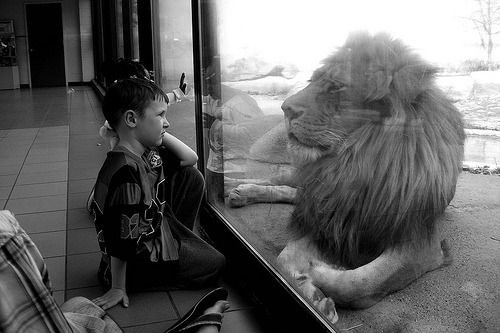 black-and-white:

the boy and the lion (by elizabeth sarah)
