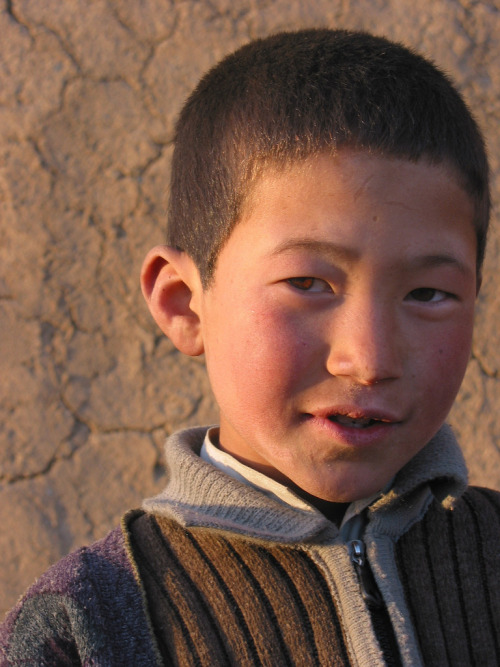 The Hazaras Of Afghanistan Pdf