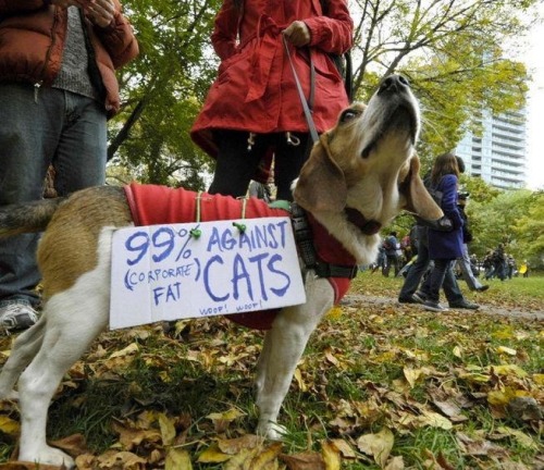 Gabe at the Occupy Toronto rally<br />
Submitted by Kiera C.