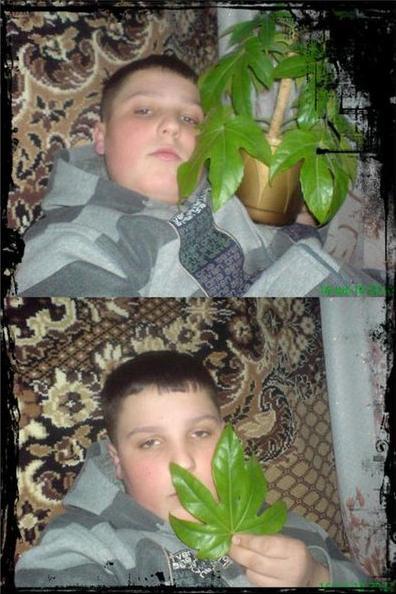 Jacob med sin Marijuana odling
