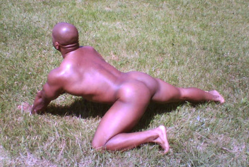ngrboy4whttops:

This nig look like he just picked up the scent of a HOT WHITE MAN…Go get’m boy!
