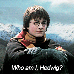 Image result for harry potter gifs who am i