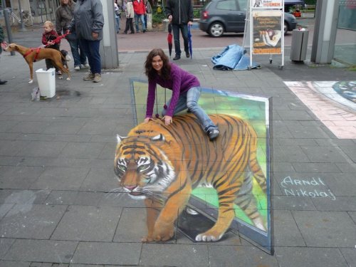 sidewalk illusion art  画