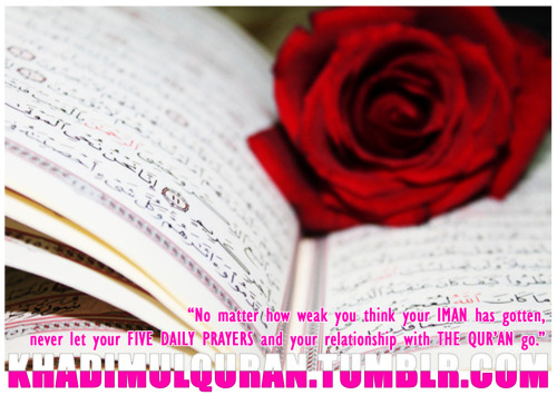khadimulquran:

No matter how weak you think your Iman has gotten, never let your five daily prayers and your relationship with the Qur’an go.
