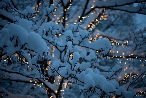 снежни светлини
