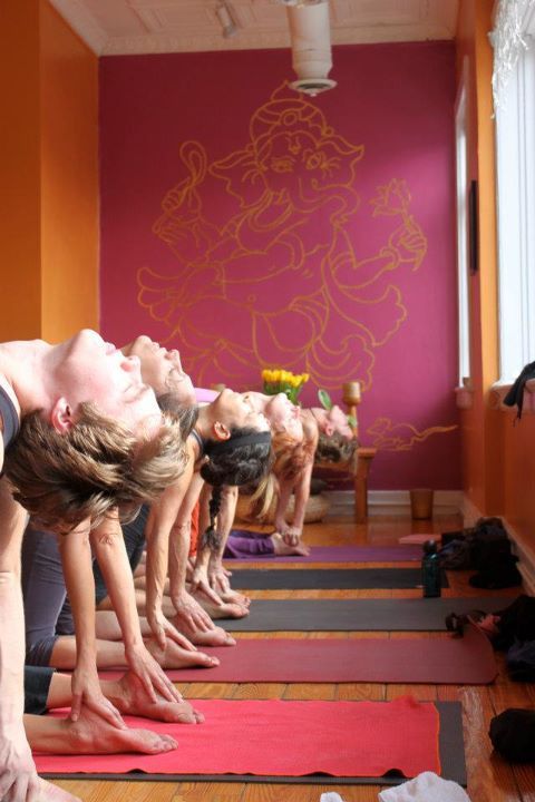 fuckyeahyoga:

pamplemousseonesixseven:

backbending featuring me and these other people but i only know one of their names so
you’re really supposed to keep your eyes closed but in every single one of these photos everyone’s eyes are shut

Camels … all in a row.