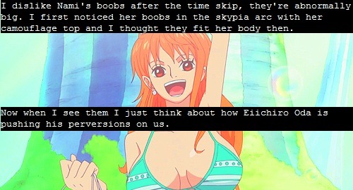 I dislike Nami's boobs after the time skip they're abnormally big