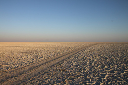  
I took this photo in the Makgadikgadi Pan in Botswana, one of the biggest salt pans in the world. The pan is so flat and empty and that you can see the earth curve over the horizon.  Looking up, you see the unbroken dome of the sky: On a moonless night, every star in the Southern hemisphere is visible.

The pan looks devoid of life in the dry season, but just underneath the dry salt surface mud teems with algae.  When the rainy season comes, the pan fills with water; the algae grows; and birds and wildlife migrate from all over the region to eat.  These cycles of migration and growth have taken place for thousands of years.

In this silent, huge place I felt connected to an old universe beyond the cramped details of my own brief life.  I was here with my husband on our honeymoon, celebrating a commitment to a permanent bond - another glimpse of eternity.

Chelsea
