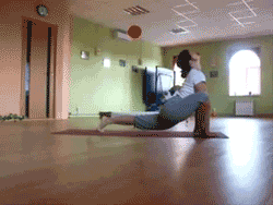 Cats and Yoga Gifs