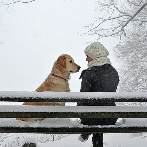 bliss-of-seasons:

Two on a snowy bench … by joergschickedanz on Flickr.

