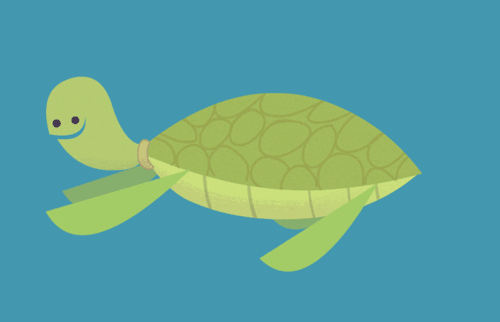 animation turtle gif | WiffleGif