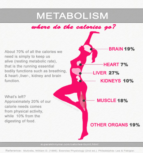 berryhealthy:

hopjumpskip:

educate.

and this is why you can’t survive on 500 calories.
