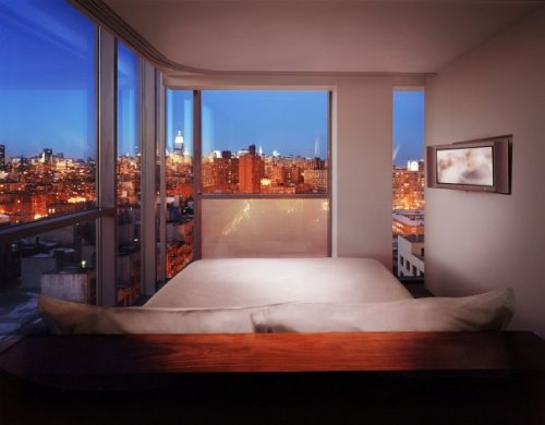 micasaessucasa:

Hotel on Rivington @ NYC

I would love this view