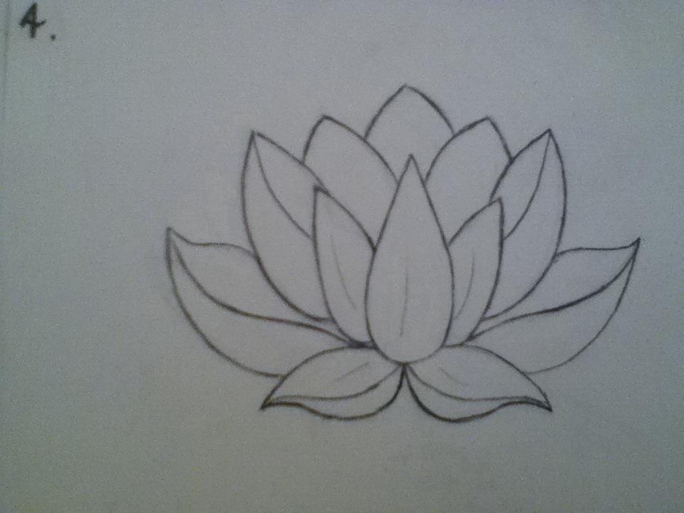 This lotus drawing is the exact shape I want for my lotus