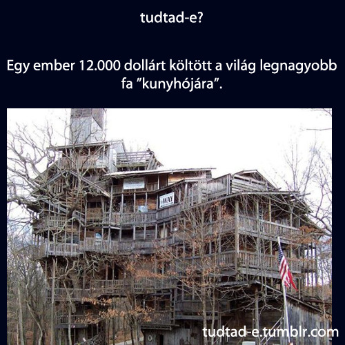 <p>Egy ember 12.000 dollárt költött a világ legnagyobb fa ”kunyhójára”.</p>