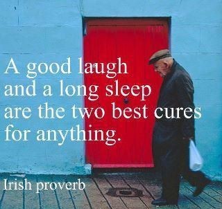 A good laugh and a long sleep are the two best cures for anything.