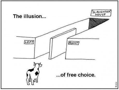 L'illusione della libera scelta