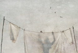 artpropelled:

I will pack your lunch, you will catch the spiders. (by jamie heiden)
